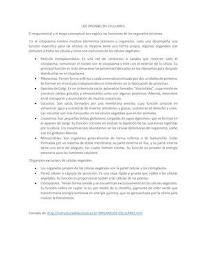 Los Organelos Celulares (1)PDF