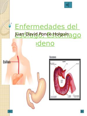 Enfermedades Del Esofago, Estomago Y Duodeno