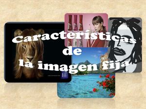 Imagen Fija