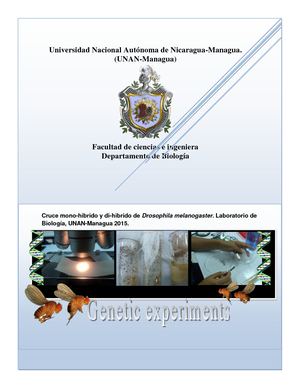 Genetica de la Mosca Drosophila Melanogaster