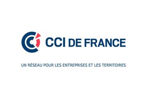 Diaporama Presentation Cci France Et Réseau Def