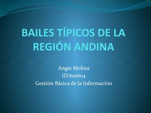 Bailes Típicos De La Región Andina