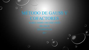 Método De Gauss Y Cofactores
