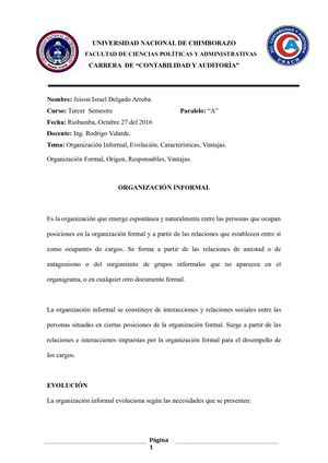 Organizacion Formal E Informal