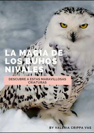 La Magia De Los Buhos Nivales