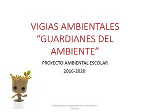 Vigias Ambientales