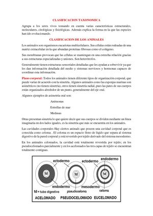 Clasificacion Taxonomica
