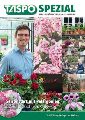 TASPO Spezial Pelargonien