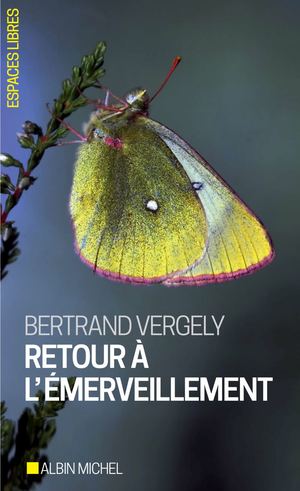 EXTRAIT | Retour à l'émerveillement - Bertrand Vergely