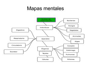 Ejemplos De Fichas