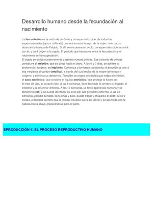 Desarrollo Humano Desde La Fecundación Al Nacimiento
