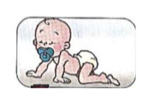 Ciclo De Vida De Las Personas