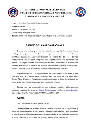 Estudio De Las Organizaciones Causas, Responsables Y Desafíos