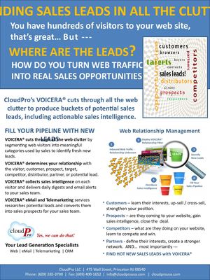 CloudPro's Voicera WebRM