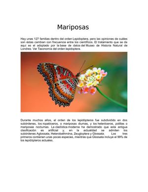 Mariposas Pdf