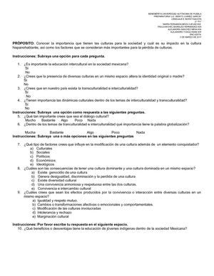 Encuesta Lenguaje
