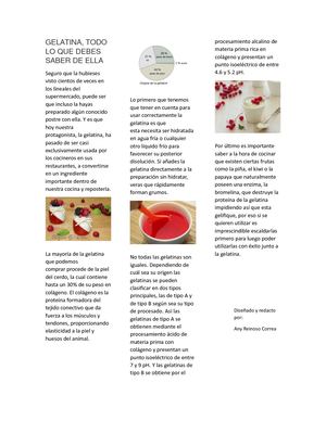 GELATINA, TODO LO QUE DEBES SABER DE ELLA