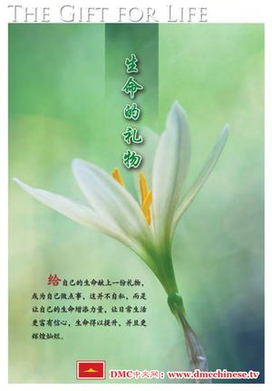 Calaméo - 生_命_的_礼_物_Sheng Ming De Li Wu Zhs