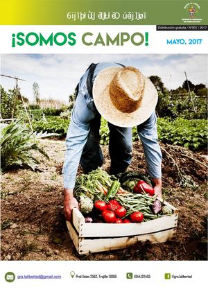 Boletín Institucional GRALL