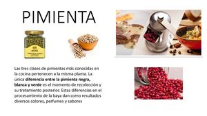 Pimienta