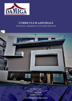 Curriculum Aziendale damiga srl