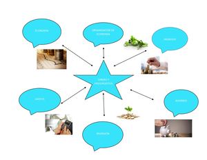 Dinero Y Presupuesto 6c