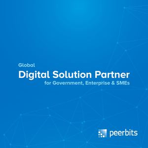 Global Digital Solution Partner For Government Enterprise & Smes Peerbits