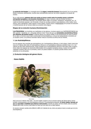 La Evolución Del Hombre