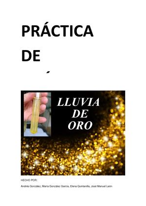 Práctica Química