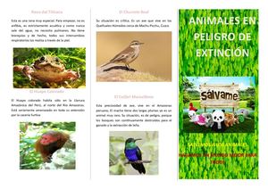 Animales En Vias De Extincion