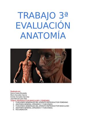 Anatomía 3ª evaluación