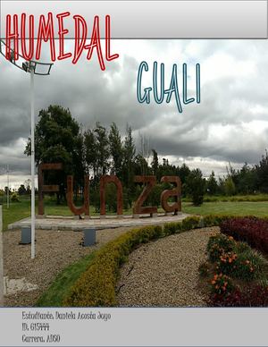 Problemas Que Afronta El Humedal Guali