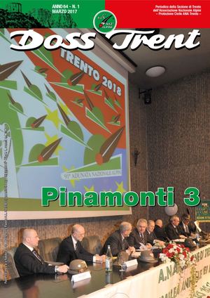 Pe4429c7fc45ef34ca9b3a7b687484d1