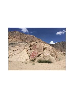 Catalogue Mayur and Tushar Vayeda 2017