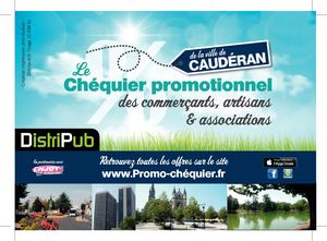 Chequier Cauderan Print