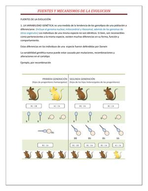 Fuentes De La Evolución Y Mecanismos