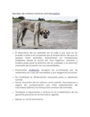 Ejemplos De Maltrato Hacia Los Animales