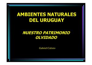Imágenes Ambientes De Uruguay . G Calixto