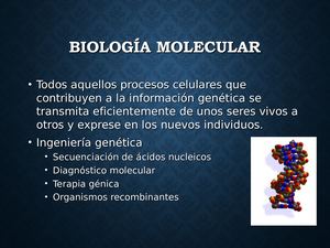 Biologamolecular 100708122751 Phpapp02