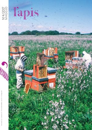 L'apis 4 Maggio 2017