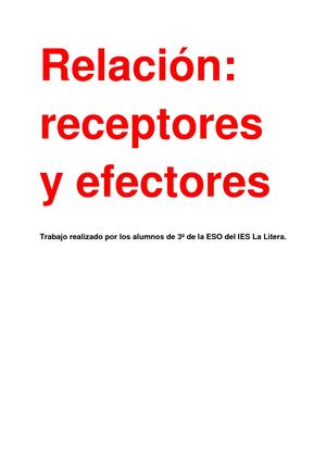 Relación: Receptores y Efectores