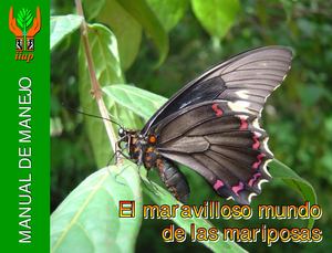 las mariposas