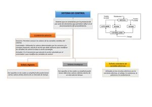 Elemento 2 Organizador Grafico
