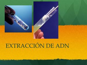 3 Practica Extracción De Adn