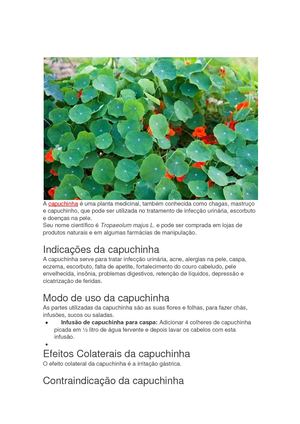 Horta A Capuchinha é Uma Planta Medicinal