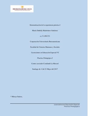 Sistematizacion De La Experiencia Practica I