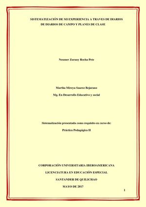 Sistematizacion Diarios De Campo