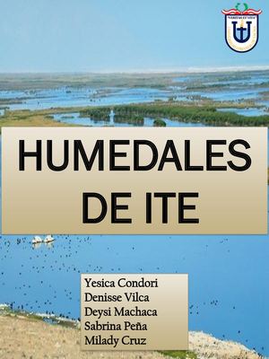 Humedales De Ite publicado 29 de mayo del 2017