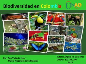 Biodiversidad En Colombia
