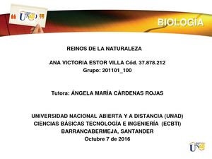 Ciclo De La Tarea 1 Ana Estor Grupo 100